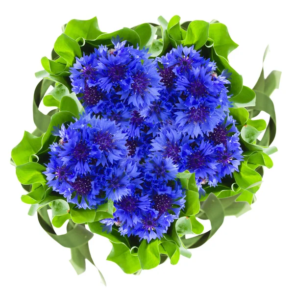 Buquê redondo de flores de milho azul — Fotografia de Stock