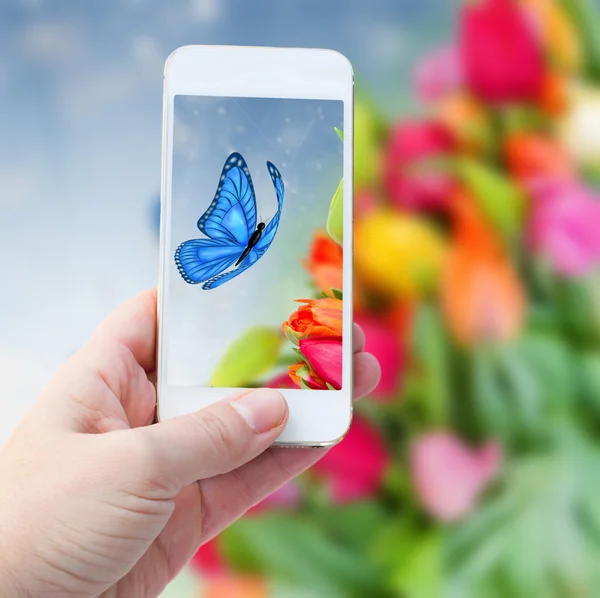 Nemen van foto met slimme telefoon tegen zomer achtergrond — Stockfoto