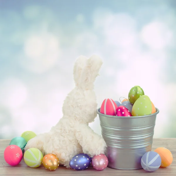 Caza de huevos con conejito de Pascua —  Fotos de Stock