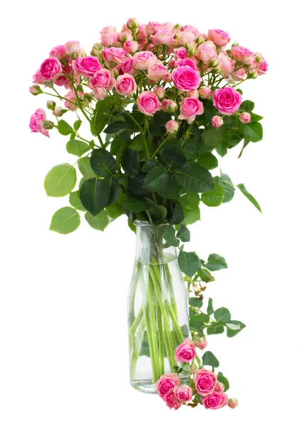 Пози свежие розовые розы — стоковое фото