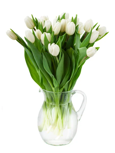 Buquê de tulipas brancas em vaso — Fotografia de Stock