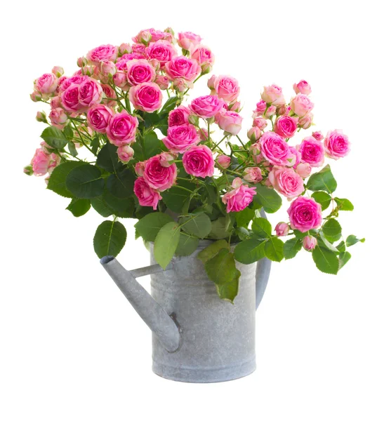 Bouquet  pink roses — Stock Photo, Image