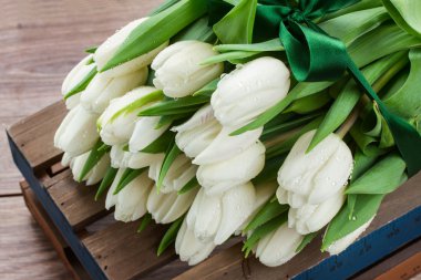 Beyaz Lale yığını