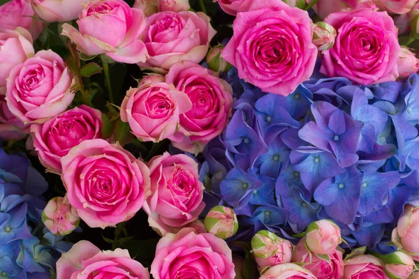 Buquê de rosas rosa e hortensia azul — Fotografia de Stock