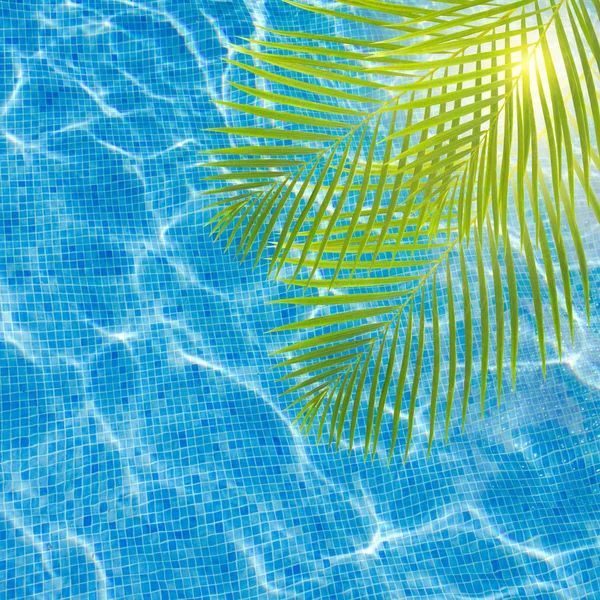 Kühles Poolwasser mit Palme — Stockfoto