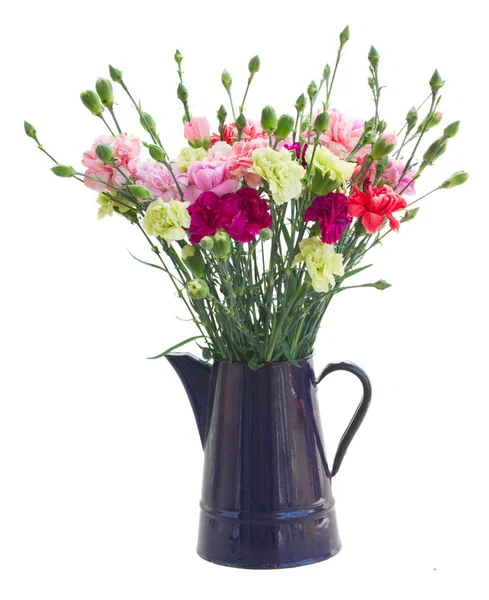 Bos carnation bloemen — Stockfoto