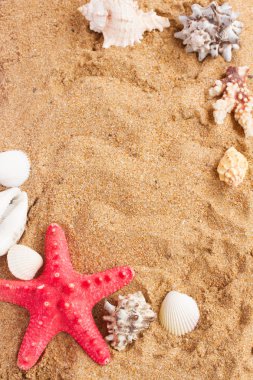 Deniz yıldızı ans seashells çerçeve üzerinde kum
