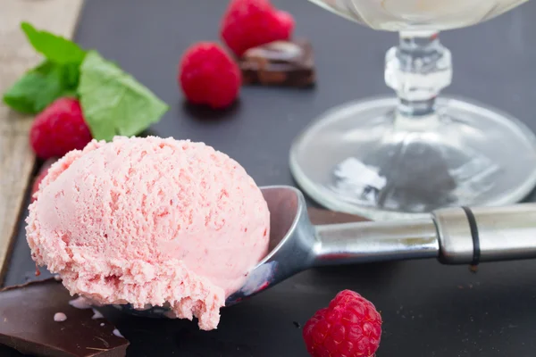 Skopa av berry icecream — Stockfoto