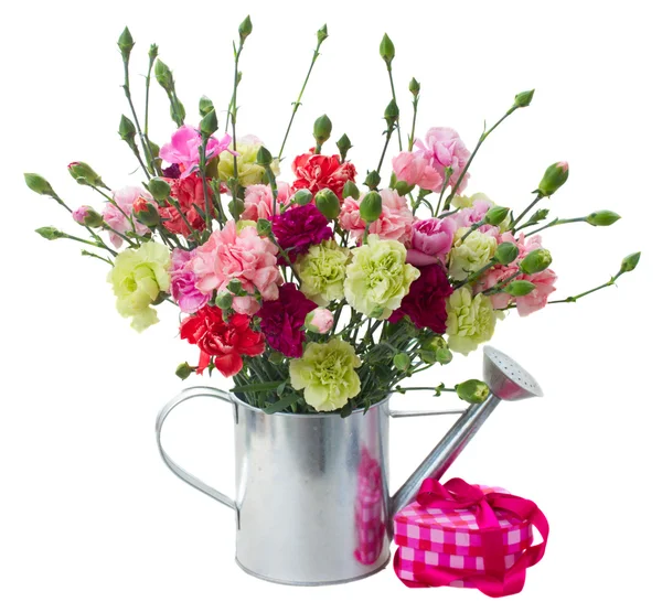 Bunch of carnation flowers with gift box — Stock Photo, Image