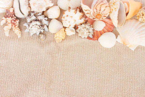 Starfish ans seashells on towel — Stock Photo, Image