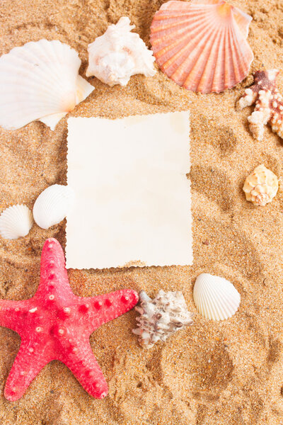 starfish ans seashells frame on sand