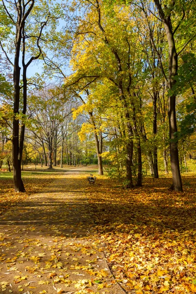 Herfstpark — Stockfoto