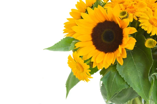 Sunflowers and marigold flowers bouquet — Stock Photo, Image