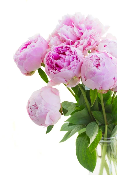 Bouquet de pivoines roses — Photo