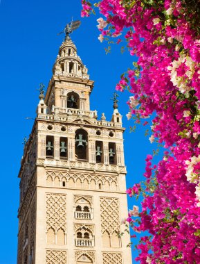 çan kulesi giralda, Sevilla, İspanya