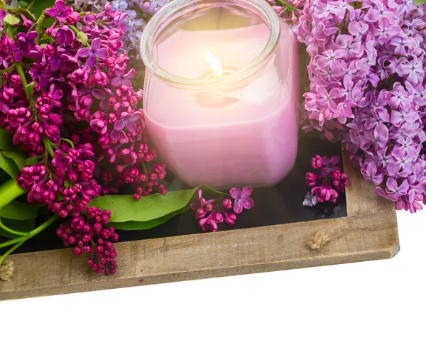 Квітучий Бузок зі свічкою — Stok fotoğraf