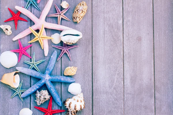 Starfish and sea shells on wooden board — Stock Photo, Image