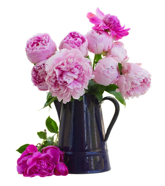 Bouquet de pivoines roses en pot bleu — Photo