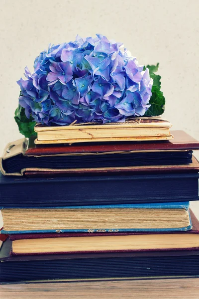 Pilha de livros antigos com flores — Fotografia de Stock