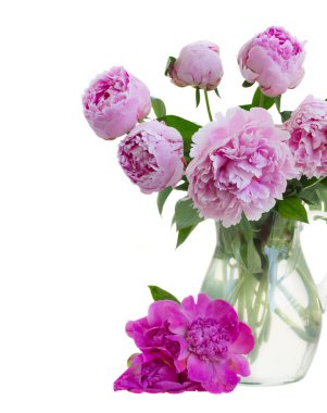 Bir buket pembe şakayık.