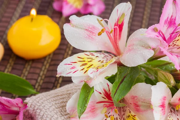 Spa setting with alstroemeria flowers — Stock Photo, Image