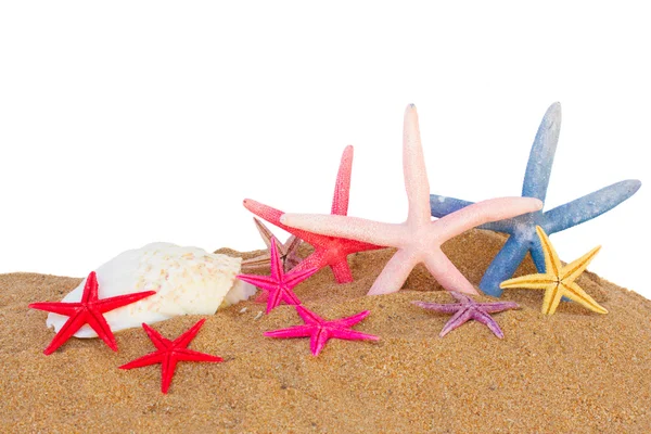 Морские звезды в песке — стоковое фото