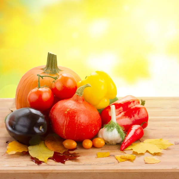 Fall ripe of vegetables on table — Stock Photo, Image