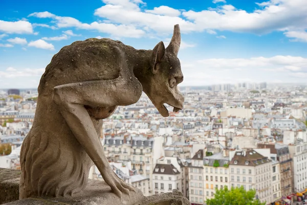 Gargoyle on Notre Dame Cathedral, France — Stock Photo, Image