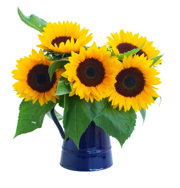 Sunflowers  flowers bouquet — Stock Photo, Image