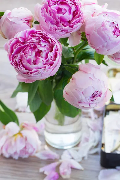 Peónias cor-de-rosa — Fotografia de Stock