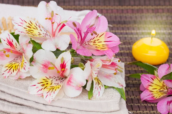 Spa setting with alstroemeria flowers — Stock Photo, Image