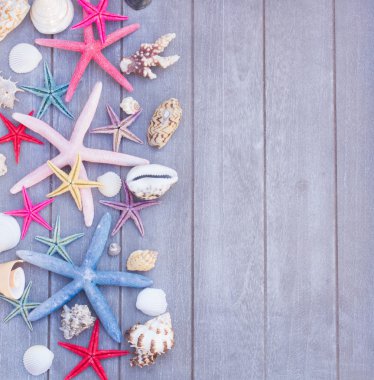 Deniz yıldızı ve deniz kabukları ahşap tahta üzerinde