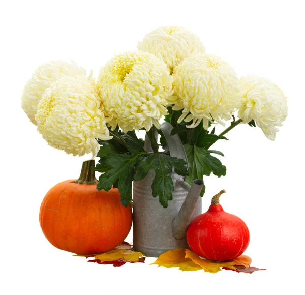 Bouquet of yellow mums in watering can — Stock Photo, Image