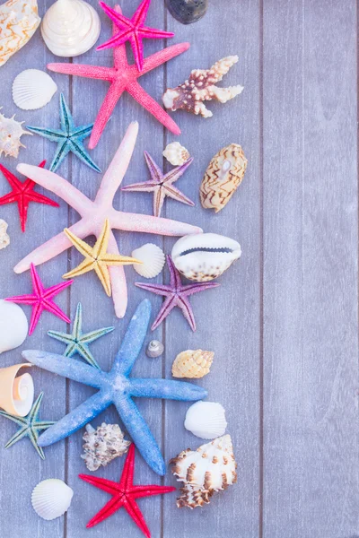 Estrelas do mar e conchas do mar em tábua de madeira — Fotografia de Stock