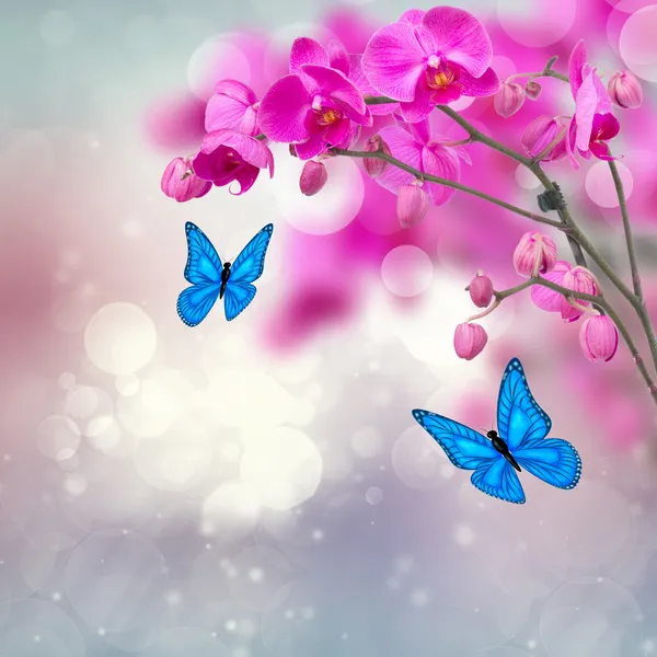 Mariposas con flores fotos de stock, imágenes de Mariposas con flores sin royalties | Depositphotos Mariposas con flores fotos de stock, imágenes de Mariposas con flores sin royalties | Depositphotos