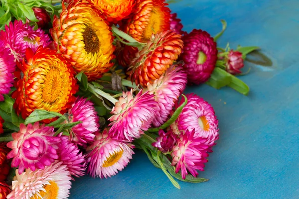 Strauß von ewigen Blumen — Stockfoto