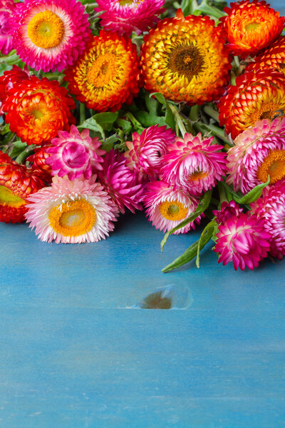 Bouquet of Everlasting flowers