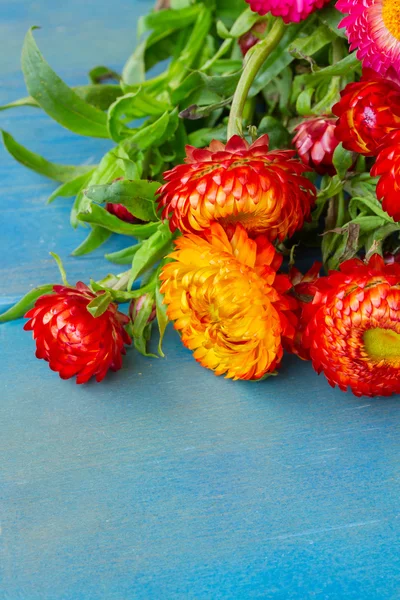 Buquê de flores eternas — Fotografia de Stock