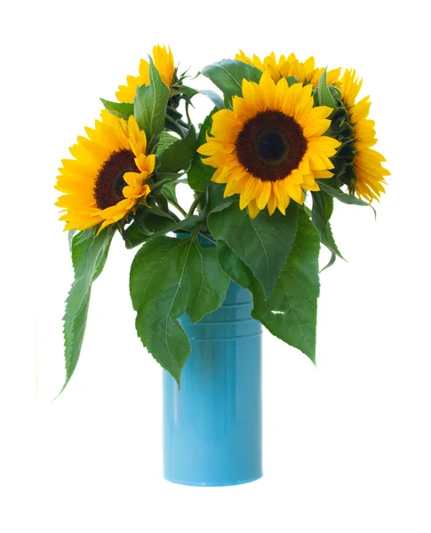 Sunflowers  flowers bouquet — Stock Photo, Image