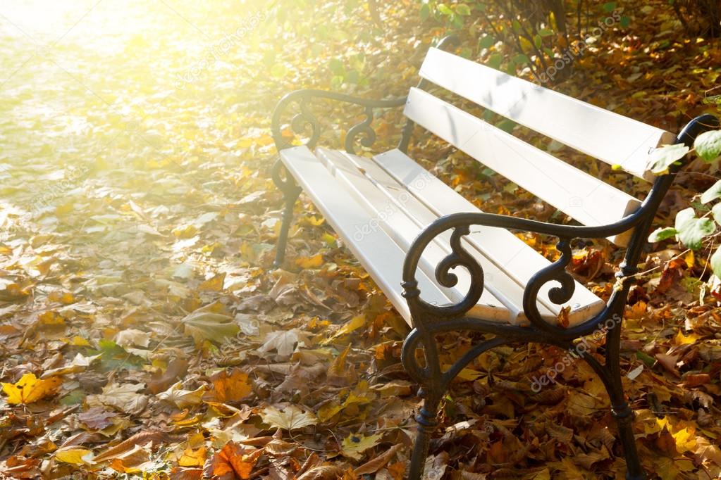 empty bench autumn park