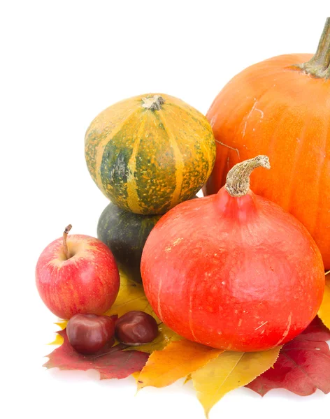 Zucche crude e foglie d'autunno — Foto Stock