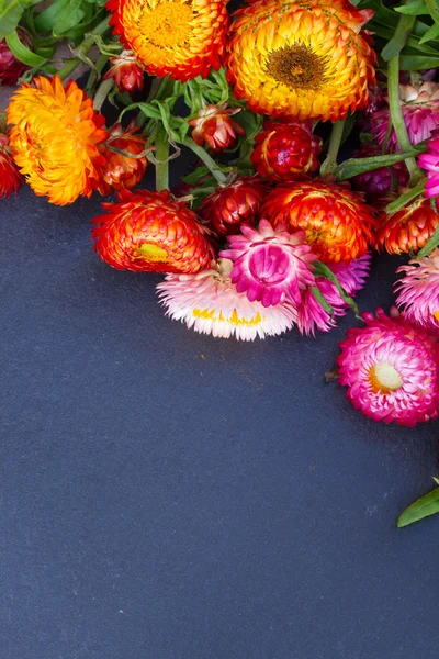 Μπουκέτο με αιωνόβια λουλούδια — Φωτογραφία Αρχείου