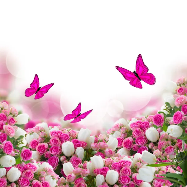 Bunch of roses and tulips flowers with butterflies — Stock Image Bunch of roses and tulips flowers with butterflies Stock Picture