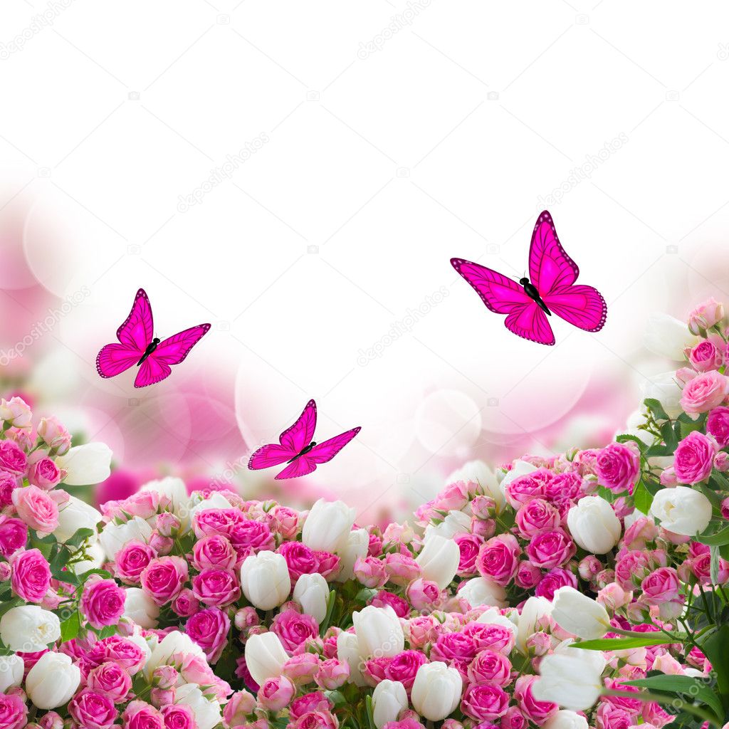 bunch of roses and tulips flowers with butterflies