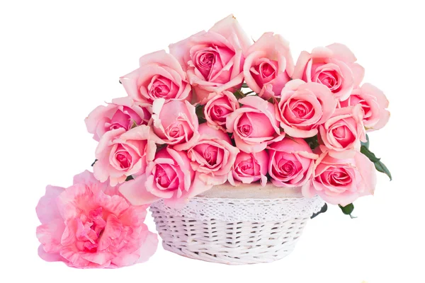 ताजे गुलाबी गुलाब बंच — स्टॉक फोटो, इमेज