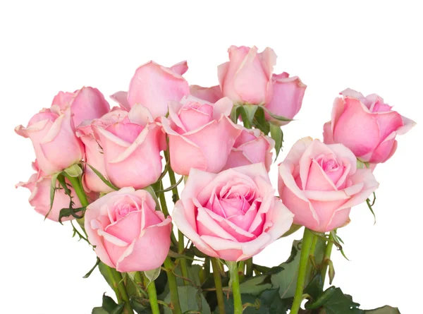 束新鲜的粉色玫瑰 — 图库照片