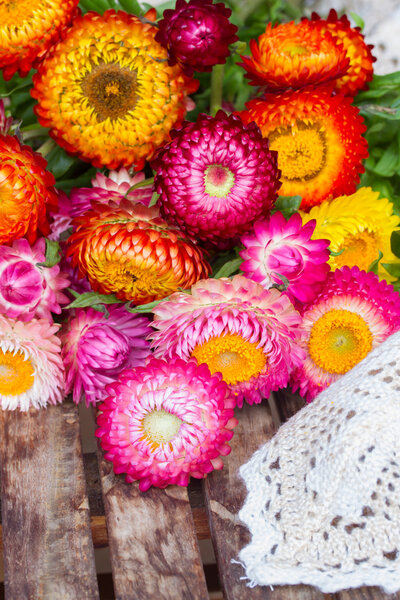 Bouquet of Everlasting flowers on table