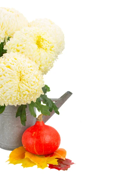 Bouquet of yellow mums in watering can — Stock Photo, Image