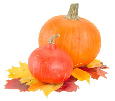 çiğ kabak ve sonbahar yaprakları