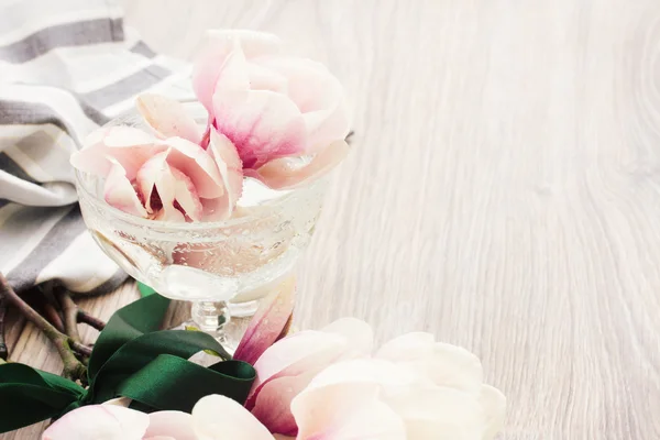 Fres モクレンの花 — ストック写真